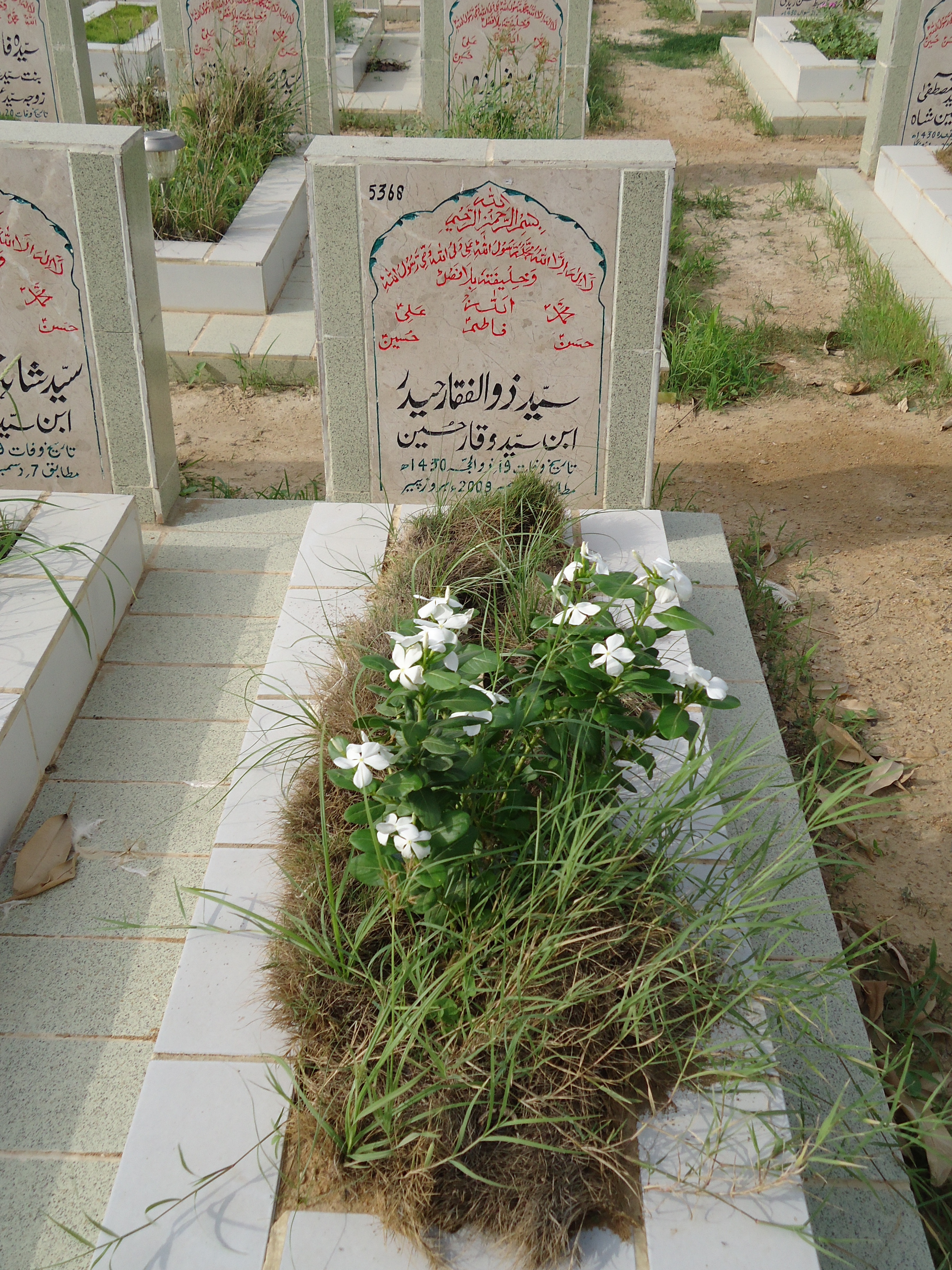 5368 – Syed Zulfiqar Haider